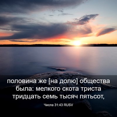 Picture 03 - Числа 31:43 RUSV - половина же [на долю] - Bible Verse Picture