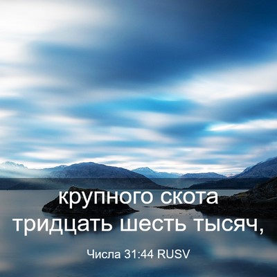 Picture 03 - Числа 31:44 RUSV - крупного скота тридцать - Bible Verse Picture