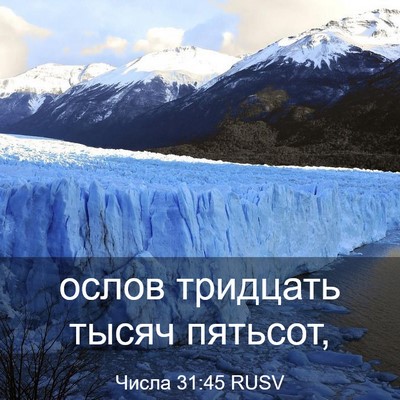 Picture 03 - Числа 31:45 RUSV - ослов тридцать тысяч - Bible Verse Picture