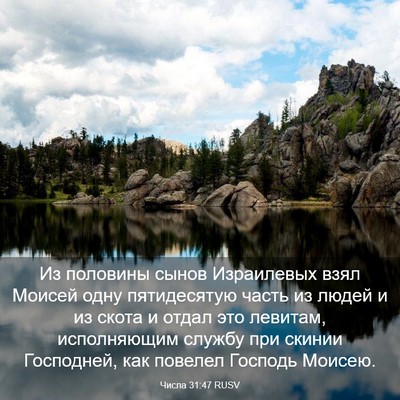 Picture 03 - Числа 31:47 RUSV - Из половины сынов - Bible Verse Picture