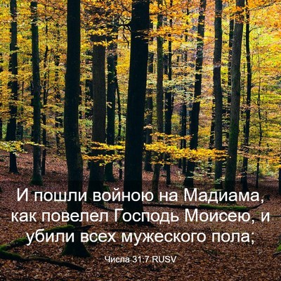 Picture 03 - Числа 31:7 RUSV - И пошли войною на Мадиама, - Bible Verse Picture