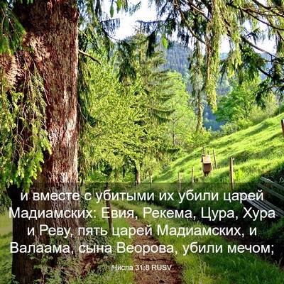 Picture 03 - Числа 31:8 RUSV - и вместе с убитыми их убили - Bible Verse Picture