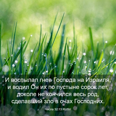 Picture 03 - Числа 32:13 RUSV - И воспылал гнев Господа на - Bible Verse Picture