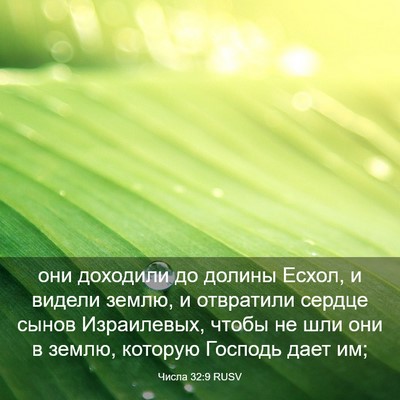 Picture 03 - Числа 32:9 RUSV - они доходили до долины - Bible Verse Picture
