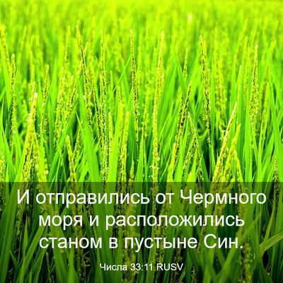 Picture 03 - Числа 33:11 RUSV - И отправились от Чермного - Bible Verse Picture