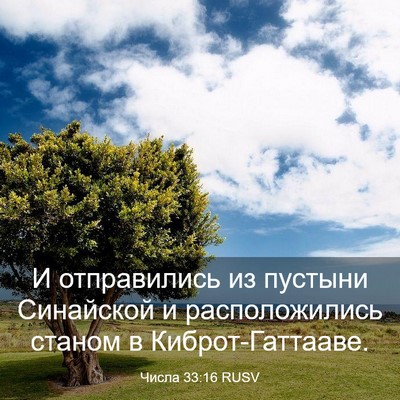 Picture 03 - Числа 33:16 RUSV - И отправились из пустыни - Bible Verse Picture