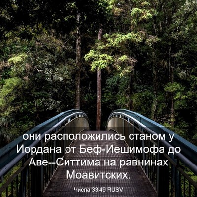 Picture 03 - Числа 33:49 RUSV - они расположились станом у - Bible Verse Picture