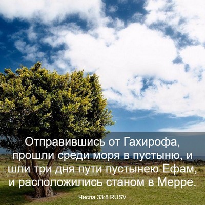 Picture 03 - Числа 33:8 RUSV - Отправившись от Гахирофа, - Bible Verse Picture