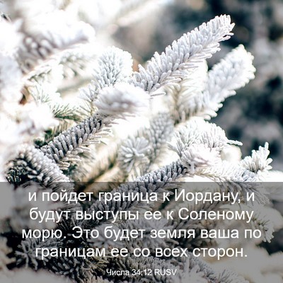 Picture 03 - Числа 34:12 RUSV - и пойдет граница к Иордану, - Bible Verse Picture