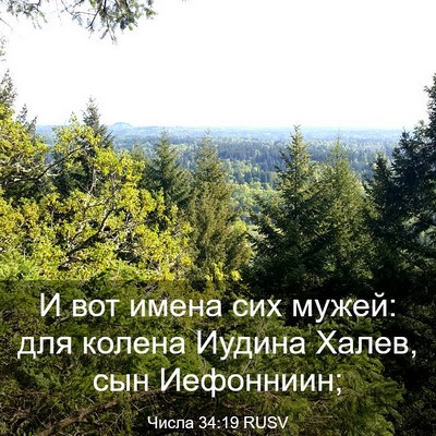 Picture 03 - Числа 34:19 RUSV - И вот имена сих мужей: для - Bible Verse Picture