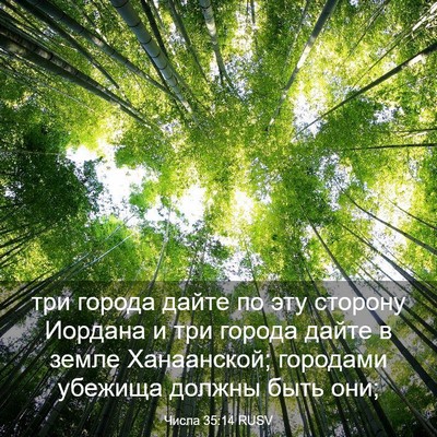 Picture 03 - Числа 35:14 RUSV - три города дайте по эту - Bible Verse Picture