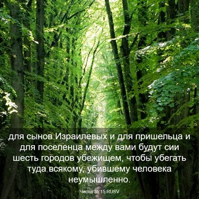 Picture 03 - Числа 35:15 RUSV - для сынов Израилевых и для - Bible Verse Picture