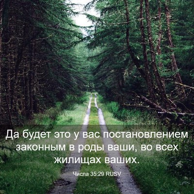 Picture 03 - Числа 35:29 RUSV - Да будет это у вас - Bible Verse Picture