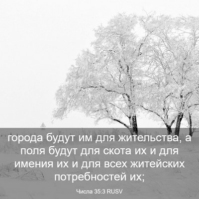 Picture 03 - Числа 35:3 RUSV - города будут им для - Bible Verse Picture