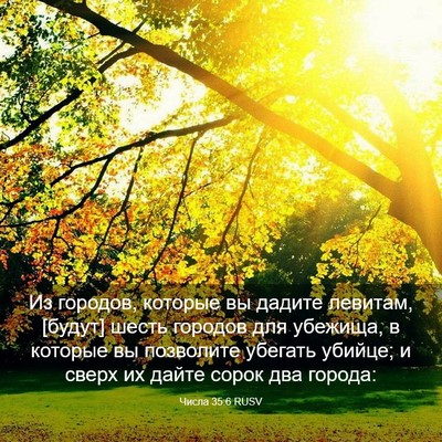 Picture 03 - Числа 35:6 RUSV - Из городов, которые вы - Bible Verse Picture