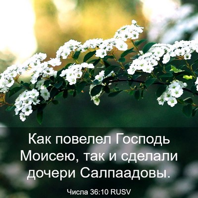 Picture 03 - Числа 36:10 RUSV - Как повелел Господь - Bible Verse Picture