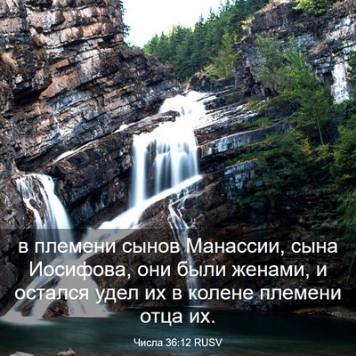 Picture 03 - Числа 36:12 RUSV - в племени сынов Манассии, - Bible Verse Picture