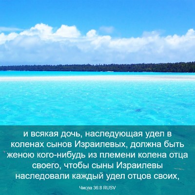 Picture 03 - Числа 36:8 RUSV - и всякая дочь, наследующая - Bible Verse Picture
