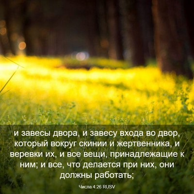 Picture 03 - Числа 4:26 RUSV - и завесы двора, и завесу - Bible Verse Picture