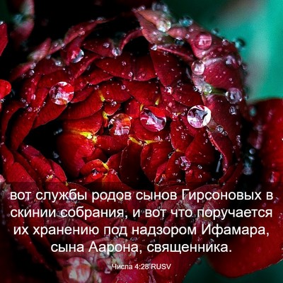 Picture 03 - Числа 4:28 RUSV - вот службы родов сынов - Bible Verse Picture