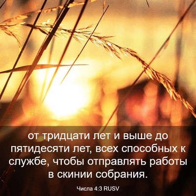 Picture 03 - Числа 4:3 RUSV - от тридцати лет и выше до - Bible Verse Picture