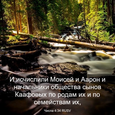 Picture 03 - Числа 4:34 RUSV - И исчислили Моисей и Аарон - Bible Verse Picture