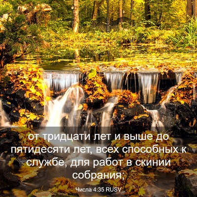 Picture 03 - Числа 4:35 RUSV - от тридцати лет и выше до - Bible Verse Picture
