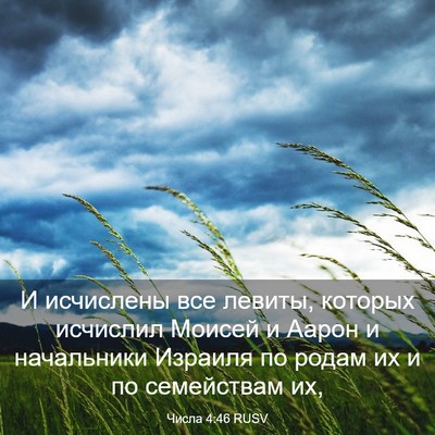 Picture 03 - Числа 4:46 RUSV - И исчислены все левиты, - Bible Verse Picture