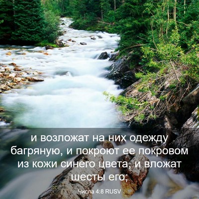 Picture 03 - Числа 4:8 RUSV - и возложат на них одежду - Bible Verse Picture