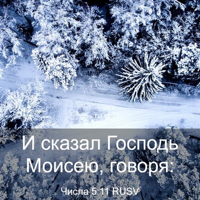 Picture 03 - Числа 5:11 RUSV - И сказал Господь Моисею, - Bible Verse Picture