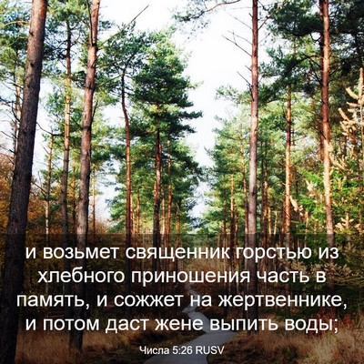 Picture 03 - Числа 5:26 RUSV - и возьмет священник - Bible Verse Picture