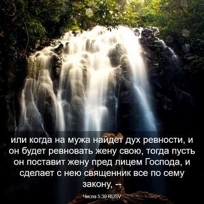 Picture 03 - Числа 5:30 RUSV - или когда на мужа найдет - Bible Verse Picture