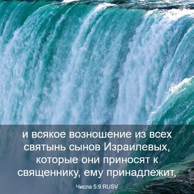 Picture 03 - Числа 5:9 RUSV - и всякое возношение из - Bible Verse Picture