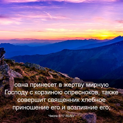 Picture 03 - Числа 6:17 RUSV - овна принесет в жертву - Bible Verse Picture
