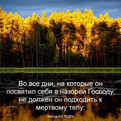 Picture 03 - Числа 6:6 RUSV - Во все дни, на которые он - Bible Verse Picture