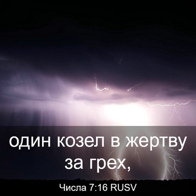 Picture 03 - Числа 7:16 RUSV - один козел в жертву за - Bible Verse Picture