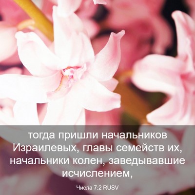 Picture 03 - Числа 7:2 RUSV - тогда пришли начальников - Bible Verse Picture