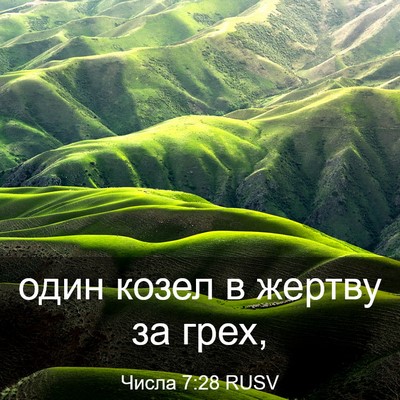 Picture 03 - Числа 7:28 RUSV - один козел в жертву за - Bible Verse Picture