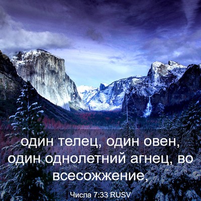 Picture 03 - Числа 7:33 RUSV - один телец, один овен, один - Bible Verse Picture