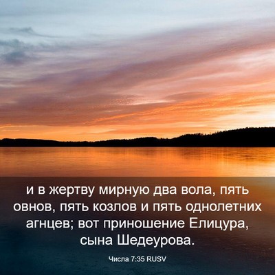 Picture 03 - Числа 7:35 RUSV - и в жертву мирную два вола, - Bible Verse Picture