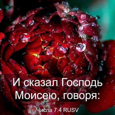 Picture 03 - Числа 7:4 RUSV - И сказал Господь Моисею, - Bible Verse Picture