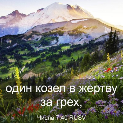 Picture 03 - Числа 7:40 RUSV - один козел в жертву за - Bible Verse Picture