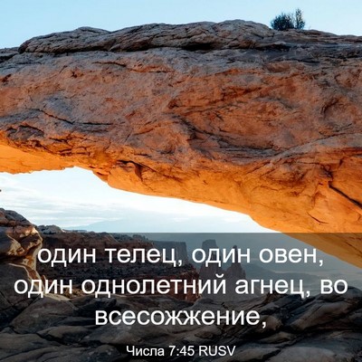 Picture 03 - Числа 7:45 RUSV - один телец, один овен, один - Bible Verse Picture