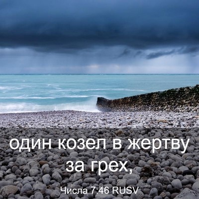 Picture 03 - Числа 7:46 RUSV - один козел в жертву за - Bible Verse Picture