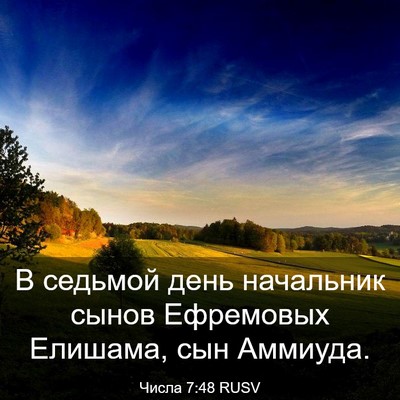 Picture 03 - Числа 7:48 RUSV - В седьмой день начальник - Bible Verse Picture