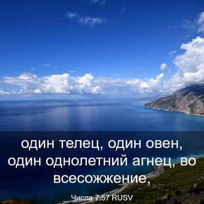 Picture 03 - Числа 7:57 RUSV - один телец, один овен, один - Bible Verse Picture