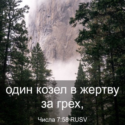 Picture 03 - Числа 7:58 RUSV - один козел в жертву за - Bible Verse Picture
