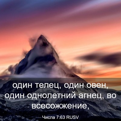 Picture 03 - Числа 7:63 RUSV - один телец, один овен, один - Bible Verse Picture