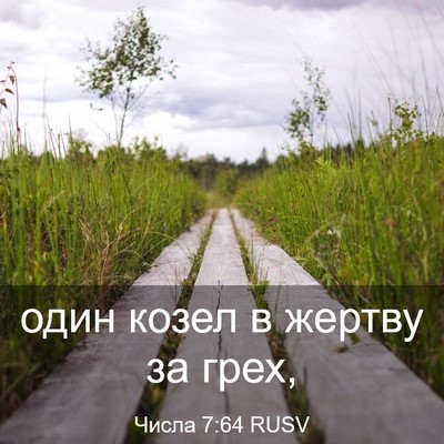 Picture 03 - Числа 7:64 RUSV - один козел в жертву за - Bible Verse Picture