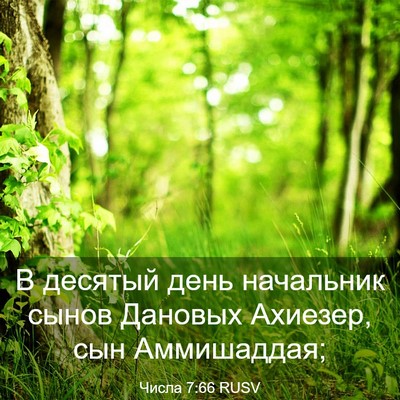 Picture 03 - Числа 7:66 RUSV - В десятый день начальник - Bible Verse Picture